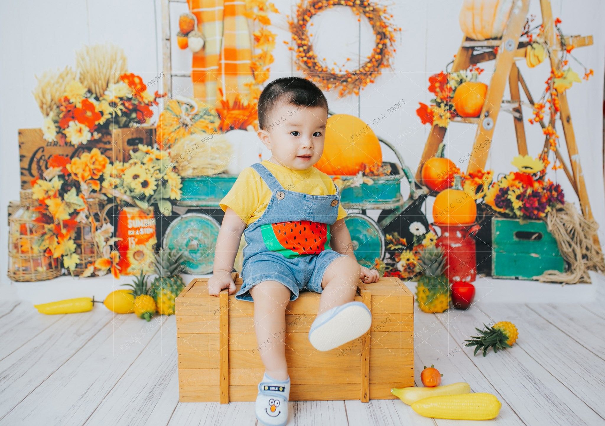  Phông Nền Chụp Hình PG17 