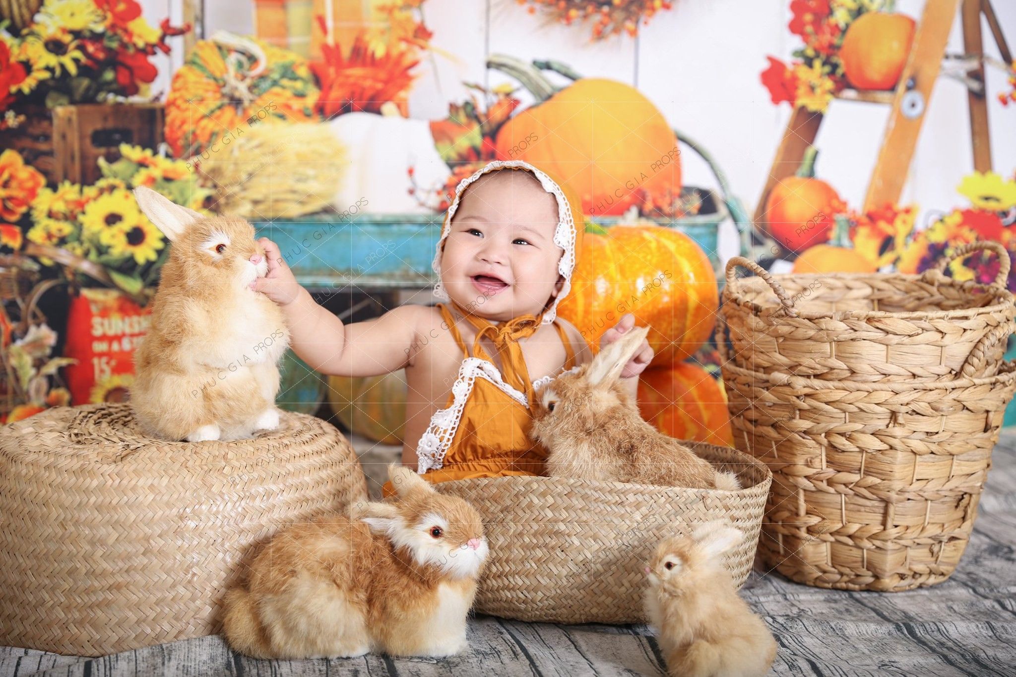  Phông Nền Chụp Hình PG17 