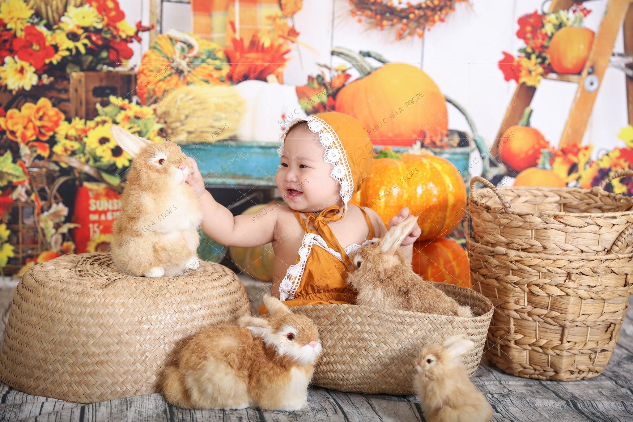  Phông Nền Chụp Hình PG17 