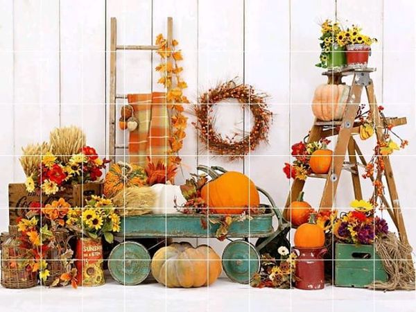 Phông nền chụp hình  em bé  PG17m