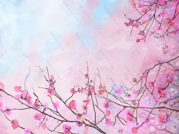  Phông Chụp Ảnh - HD100 