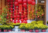  Phông Tết Decor K73 