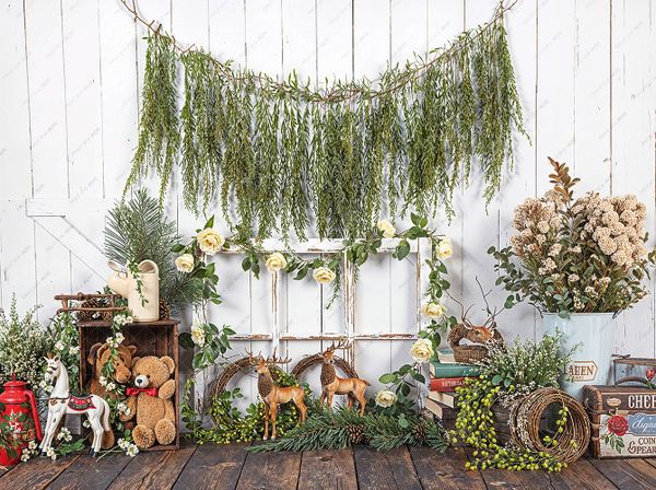  Phông 5D Chụp Hình Em Bé PG14 