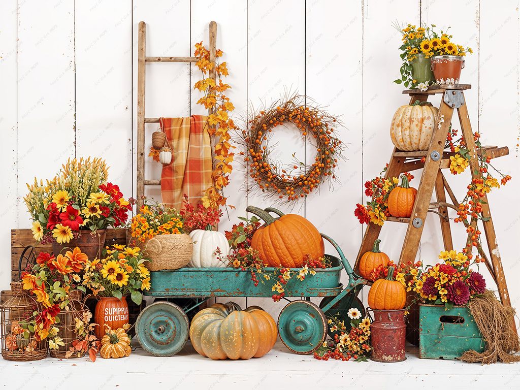  Phông 5D Chụp Hình Em Bé PG17 