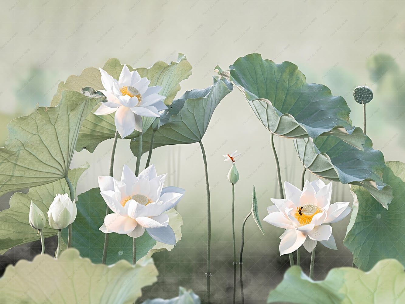  Phông 5D Chụp Hình Em Bé S05 