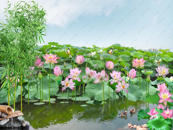 phông nền 3d Sen 10