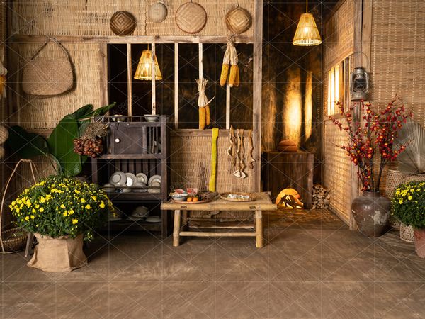  Phông Chụp Ảnh - T25 