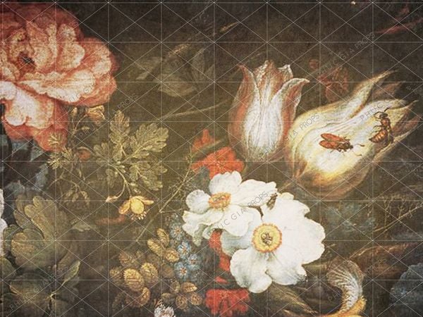  Phông Chụp Ảnh PG807 