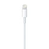 Cáp Lightning đầu USB cho iPhone, iPad, iPod Apple (1m)