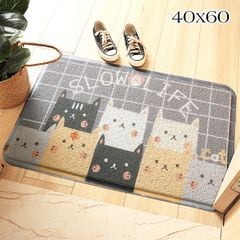 Thảm Nhựa Đan Rối Chống Bụi Trang Trí Cửa Ra Vào