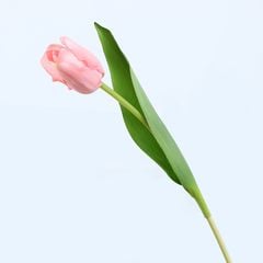 Hoa Giả Trang Trí Hoa Tulip Cao Cấp