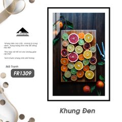 Tranh Đời Sống Passion FR1309