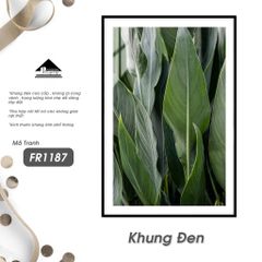 Tranh Thực Vật Passion FR1187