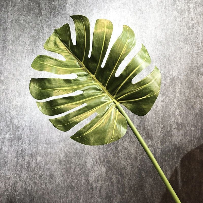 Lá Rùa Xanh Decor