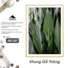 Tranh Thực Vật Passion FR1187