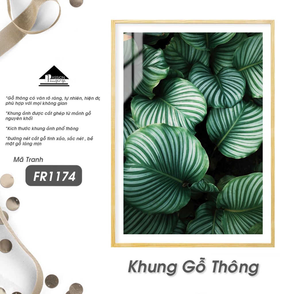 Tranh Thực Vật Passion FR1174