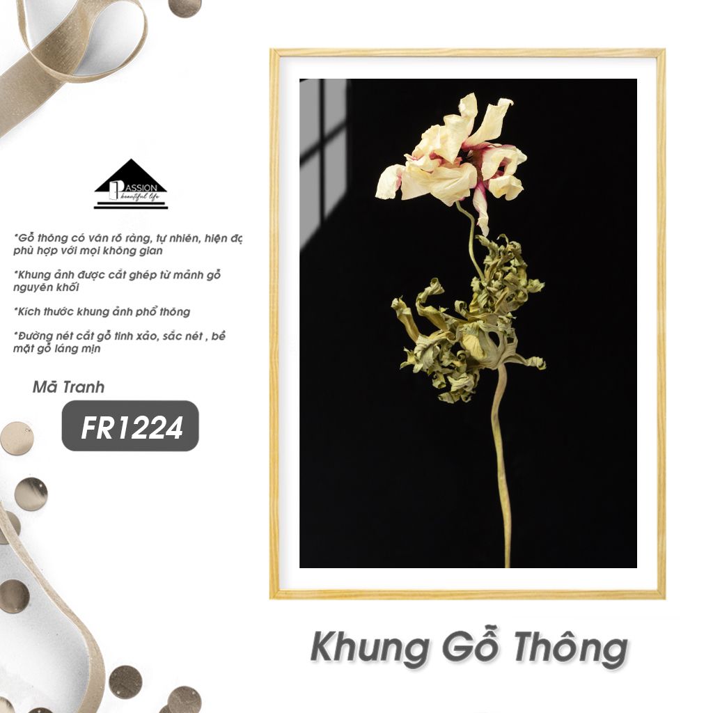 Tranh Thực Vật Passion FR1224