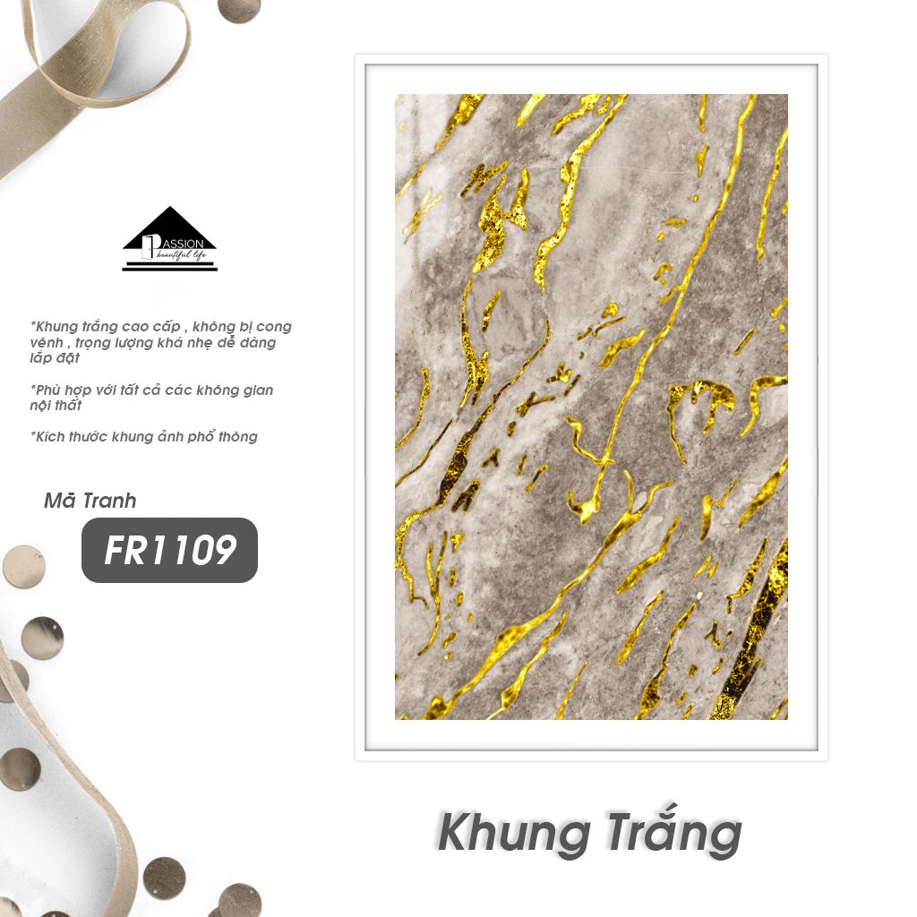 Tranh Trừu Tượng Passion FR1109