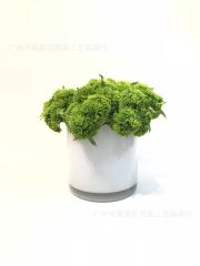 Hoa Giả Gel Mềm Hoa Súp Lơ Decor