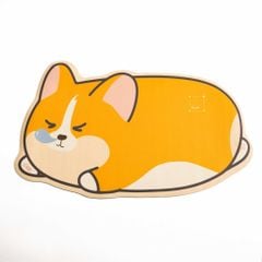 Thảm Da Diatomaceous Hoạt Hình Chống Trơn Trượt