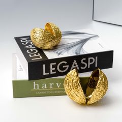 Tượng Decor Hình Vỏ Đậu Metal Để Bàn Sang Trọng