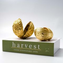 Tượng Decor Hình Vỏ Đậu Metal Để Bàn Sang Trọng