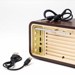 Tượng Decor Hình Máy Hát Cổ Độc Đáo