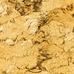 Tượng Tranh Trang Trí Bằng Da Mạ Vàng Decor Kệ