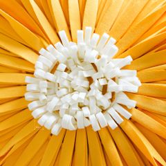 Gối Vuông Tựa Lưng Dệt Hoa Hướng Dương Sang Trọng