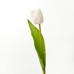Hoa Giả Trang Trí Hoa Tulip Cao Cấp