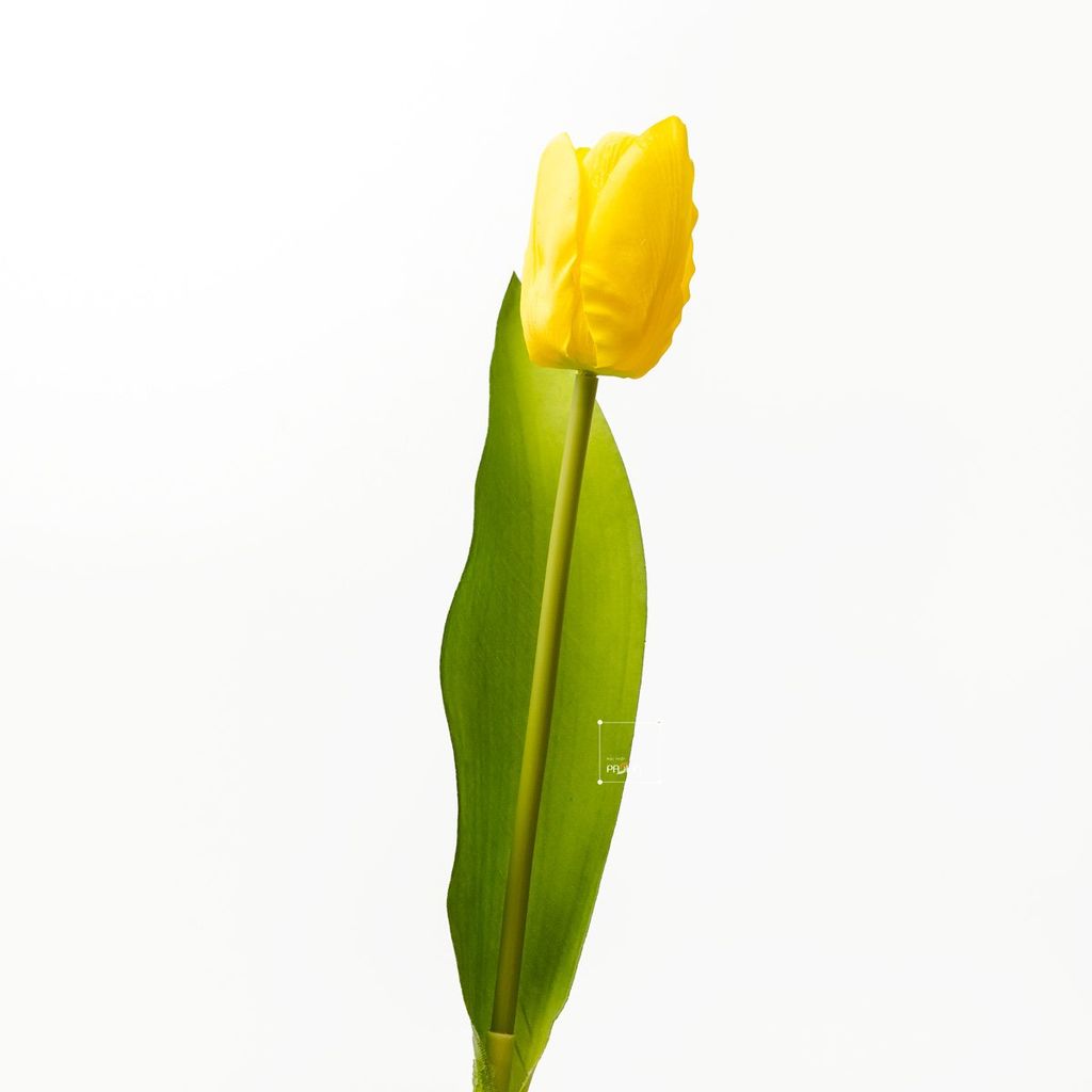 Hoa Giả Trang Trí Hoa Tulip Cao Cấp
