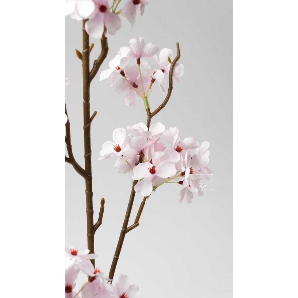 Hoa Giả Trang Trí Hoa Lê Hồng Đơn