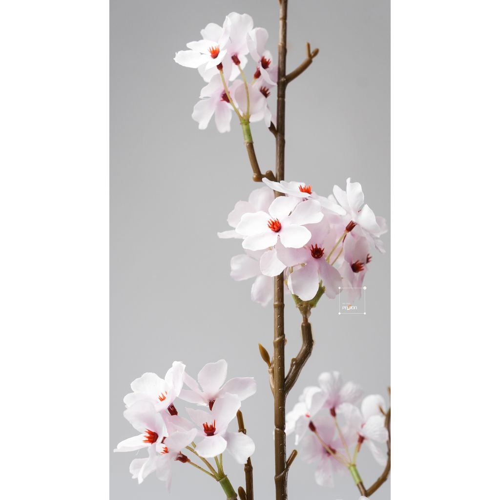 Hoa Giả Trang Trí Hoa Lê Hồng Đơn