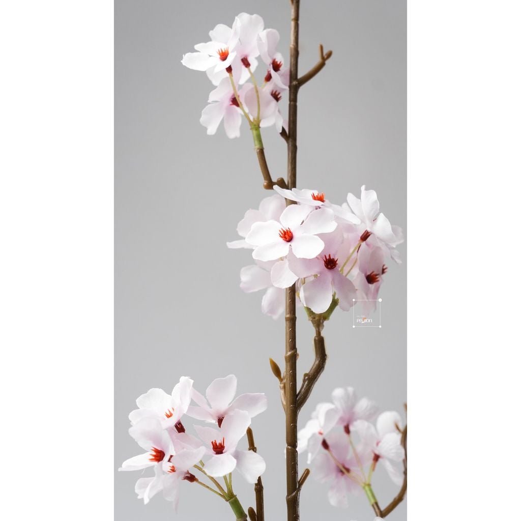 Hoa Giả Trang Trí Hoa Lê Hồng Đơn