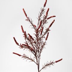 Hoa Lụa Giả Trang Trí Cành Hoa Setaria