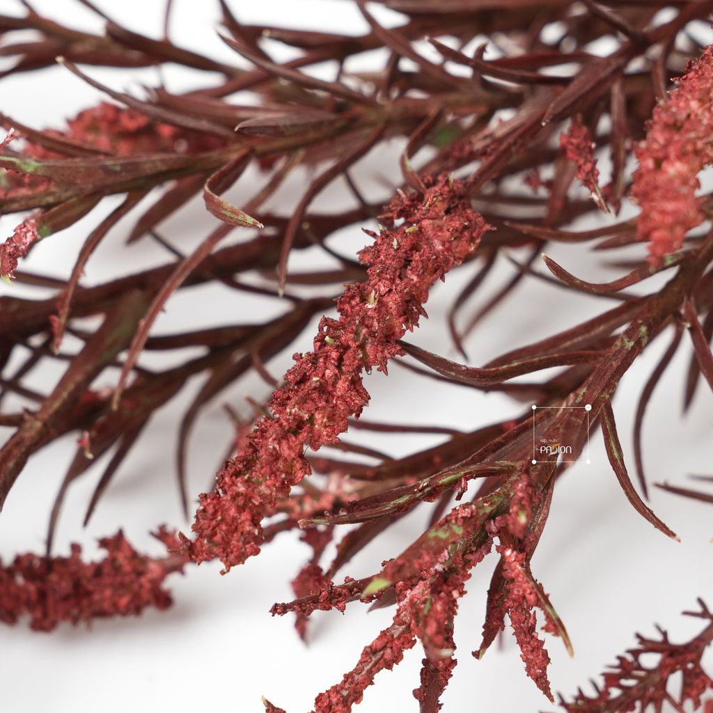 Hoa Lụa Giả Trang Trí Cành Hoa Setaria