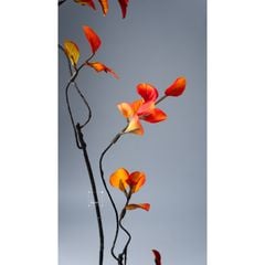 Cành Lá Phong Đỏ Trang Trí Phong Cách Bắc Âu