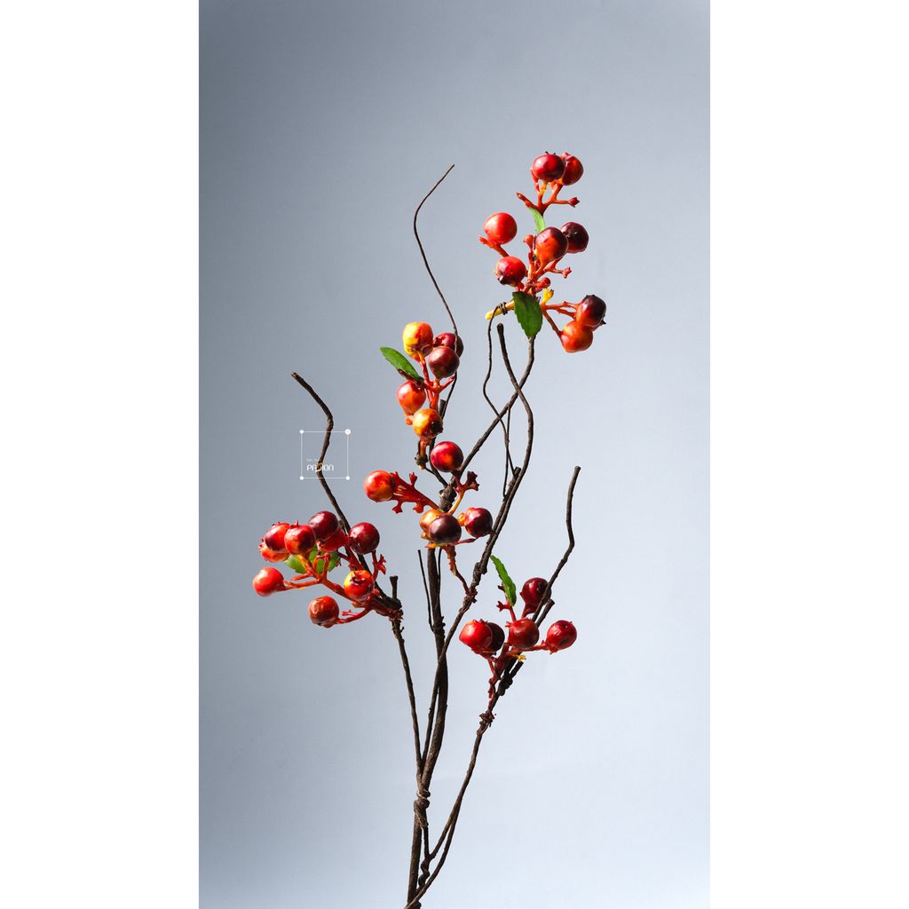 Cành Cây Trang Trí Quả Berry