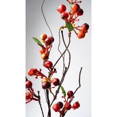 Cành Cây Trang Trí Quả Berry