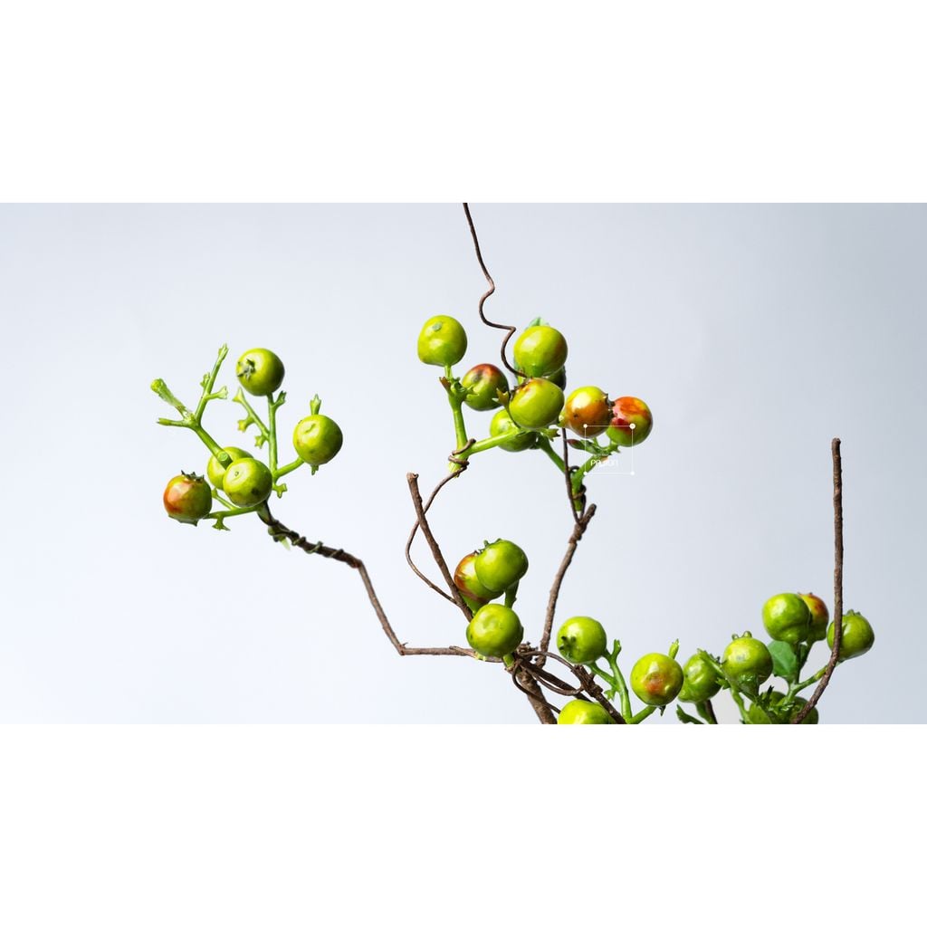 Cành Cây Trang Trí Quả Berry