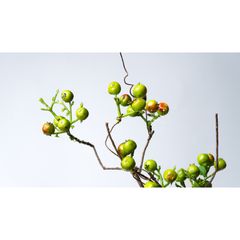 Cành Cây Trang Trí Quả Berry