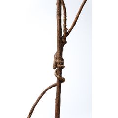 Cành Cây Trang Trí Quả Berry