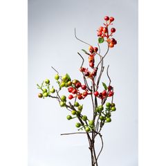 Cành Cây Trang Trí Quả Berry