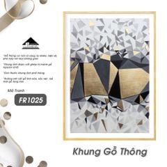 Tranh Bộ Hình Học Passion FR1025