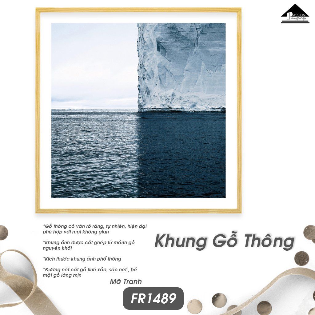 Tranh Trừu Tượng Passion FR1490