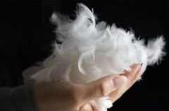 Gối Lông Ngỗng Feather Pillow Mason&Doyle