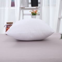 Ruột Gối Tựa Lưng 35x50cm