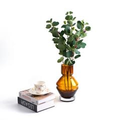 Bình Thủy Tinh Nâu Dày Hình Trụ Bầu Nhọn