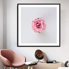 Tranh Thực Vật Passion FR1204