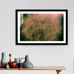 Tranh Thực Vật Passion FR1262